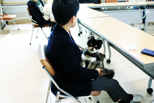 50c0ec73834fedf371d98804e131ea46_1552549